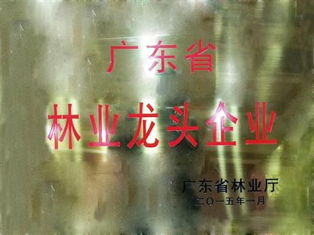    	         	2015年1月，紅古軒當(dāng)選為“廣東省林業(yè)龍頭企業(yè)”   